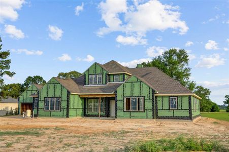 New construction Single-Family house 2418 Emerie Arbor Ln, Hockley, TX 77447 - image 2