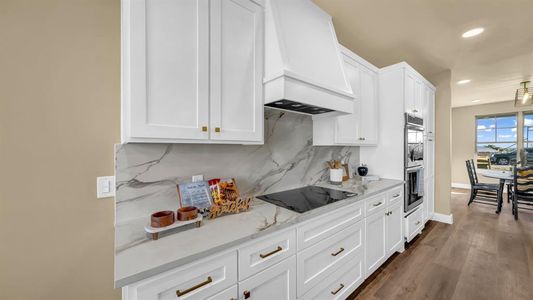 New construction Single-Family house 280 Jupiter Trl, Weatherford, TX 76088 - image 11