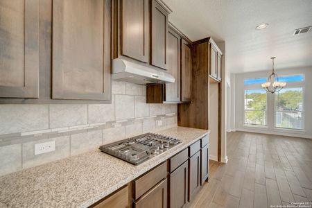 Blanco Vista by New Leaf Homes in San Marcos - photo 10 10