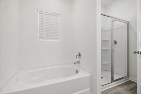 New construction Single-Family house 3047 Tanbark Oak Ln, Aiken, SC 29801 plan Buck Island II - image 19