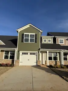 New construction Single-Family house 264 Selesia Ln, Pleasant View, TN 37146 - image
