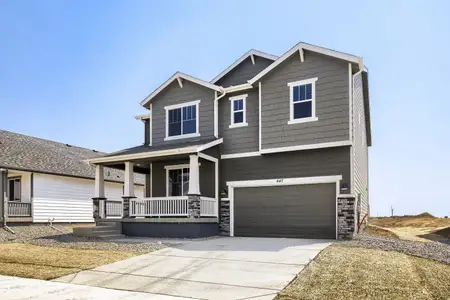 New construction Single-Family house 647 Noola St, Windsor, CO 80550 plan Willow - image