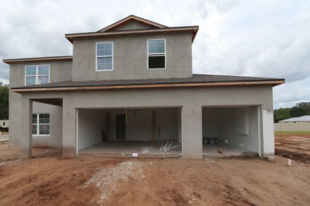 New construction Single-Family house 20288 Oriana Loop, Land O' Lakes, FL 34638 Coronado II- photo 63 63