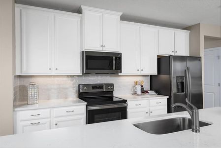 New construction Single-Family house 2228 Scenic Park Lp, Wimauma, FL 33598 - image