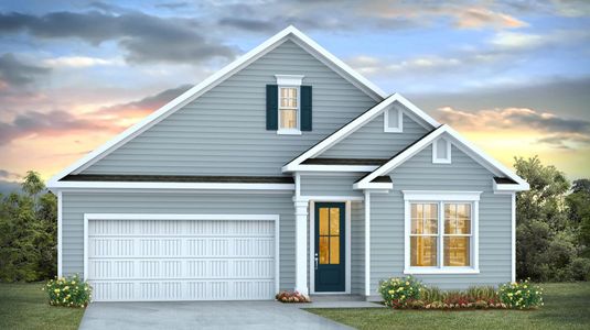 New construction Single-Family house 1233 Old Chapin Rd, Lexington, SC 29072 plan Darby - image
