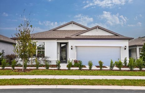 New construction Single-Family house 4177 Feldspar Ln, Spring Hill, FL 34609 Heston- photo 0 0