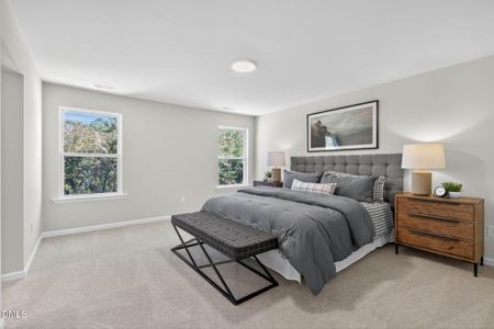 New construction Single-Family house 96 Eagle Rock Dr, Lillington, NC 27546 - image 8