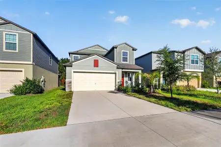 New construction Single-Family house 12621 Maple Bonsai Dr, Riverview, FL 33579 - image