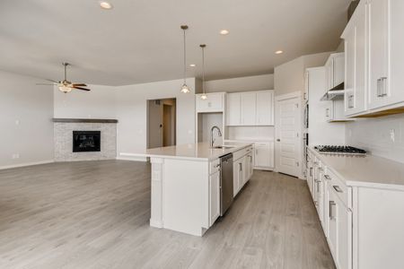 New construction Single-Family house 8405 S Winnipeg Ct, Aurora, CO 80016 null- photo 13 13