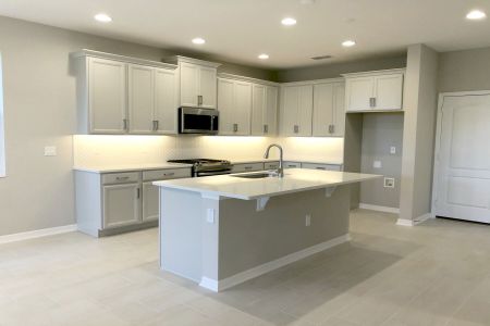 New construction Single-Family house 17353 Beachgrass Aly, Winter Garden, FL 34787 Sebring - Avenue Collection- photo 11 11