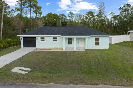 New construction Single-Family house 35 Sequoia Trl, Ocklawaha, FL 32179 - image