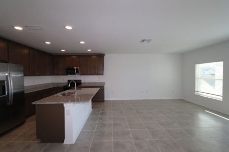 New construction Single-Family house 12193 Hilltop Farms Dr, Dade City, FL 33525 Sentinel- photo 102 102