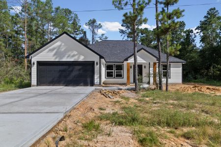 New construction Single-Family house 187 Broken Br, Livingston, TX 77351 - image