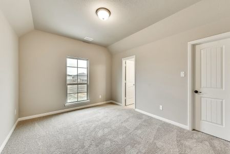 New construction Single-Family house 1845 Gem Dr, Rockwall, TX 75087 null- photo 25 25