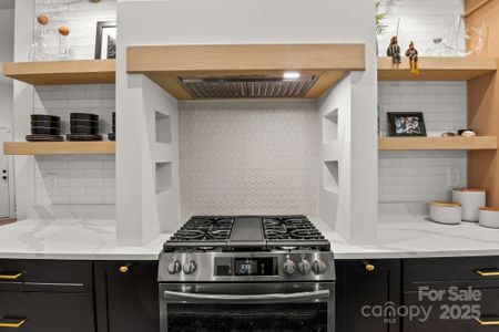 New construction Single-Family house 4465 Brancer Ln, Lincolnton, NC 28092 - image 15