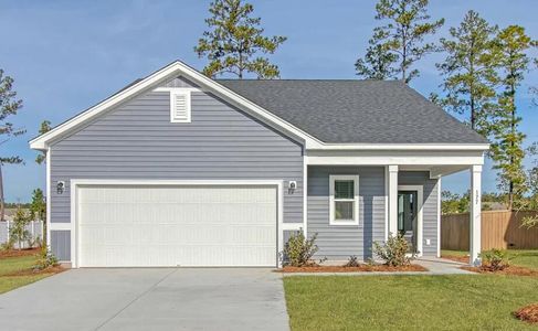 New construction Single-Family house 4012 Lemon Grass Ln, Ravenel, SC 29470 - image