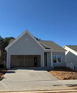 New construction Single-Family house 217 Hydrangea Ct, Dallas, GA 30132 plan Orchard - image