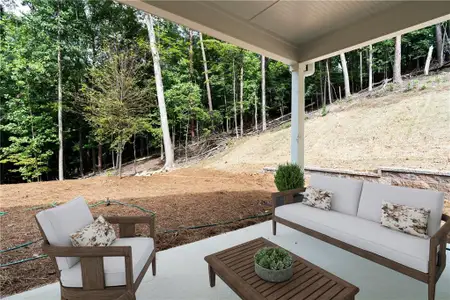 New construction Single-Family house 126 Elder Ct, Waleska, GA 30183 - image