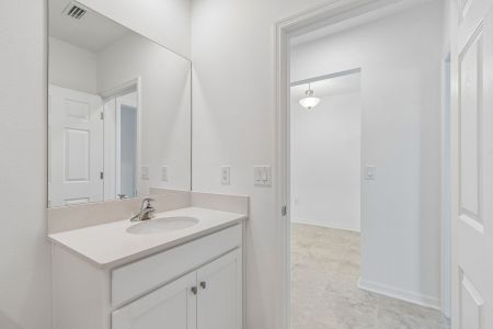New construction Single-Family house 12262 Stirrup Dr, Dade City, FL 33525 plan Ventura - image 7