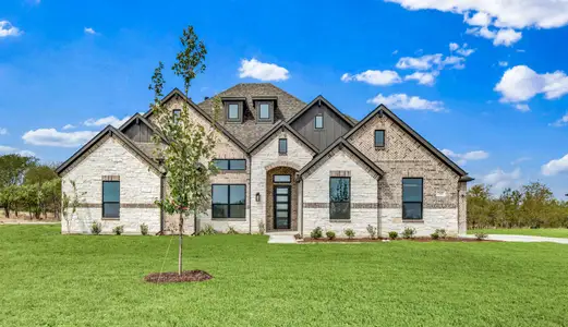 New construction Single-Family house 341 Willowy Dr, Union Valley, TX 75189 plan Eleanor - image