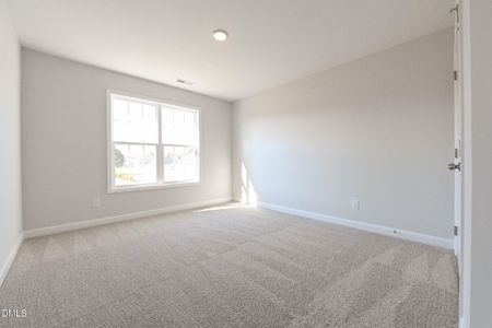 New construction Single-Family house 103 Bella Pl, Unit Lot 7, La Grange, NC 28551 - image 19