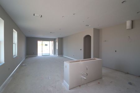 New construction Single-Family house 31229 Denham Ridge Ln, Wesley Chapel, FL 33545 Newport II- photo 23 23