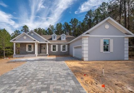 New construction Single-Family house 974 E Allegrie Drive, Inverness, FL 34453 - photo 0