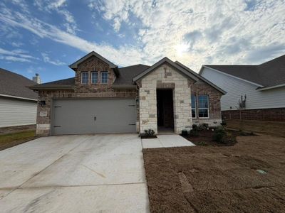 New construction Single-Family house 1244 Sabine River Ln, Springtown, TX 76082 plan San Gabriel II - image