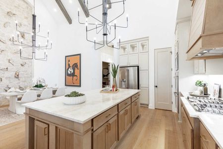 New construction Single-Family house Austin, TX 78737 plan 218 - image 14