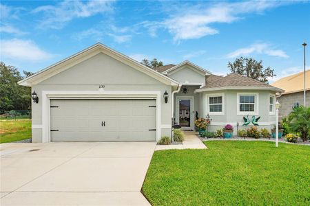 New construction Single-Family house 1153 Bishop St, Avon Park, FL 33825 - image