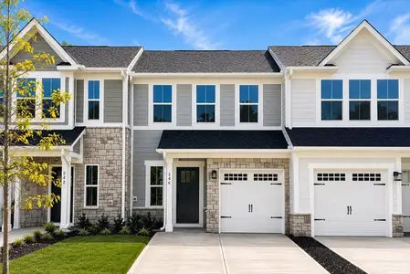 New construction Single-Family house 246 William Dr, Pittsboro, NC 27312 - image