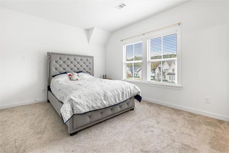 New construction Single-Family house 8125 Beryl Overlook, Gainesville, GA 30506 plan Vivienne - image 8