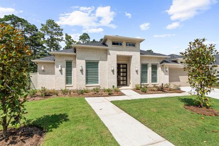 New construction Single-Family house 14 Arctic Tern Cir, Magnolia, TX 77354 null- photo 0 0