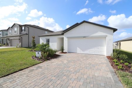 New construction Single-Family house 12193 Hilltop Farms Dr, Dade City, FL 33525 Sentinel- photo 97 97