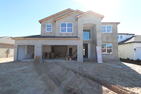 New construction Single-Family house 2350 Clary Sage Dr, Spring Hill, FL 34609 Sonoma II- photo 65 65