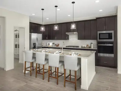 New construction Single-Family house 13250 E Reg Morrison Wy, Tucson, AZ 85747 plan Obsidian - image