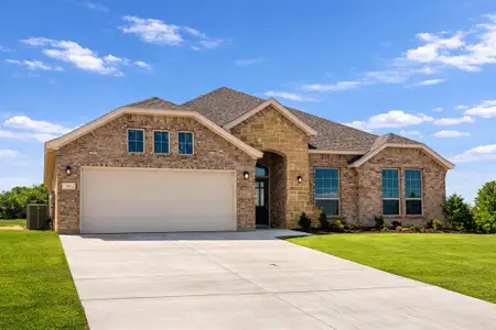 New construction Single-Family house 321 Skeen Peak, Springtown, TX 76082 - image