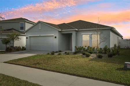 New construction Single-Family house 1115 Calico Pointe Circle, Groveland, FL 34736 - photo 0