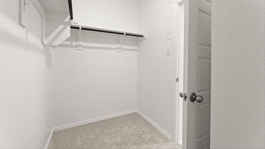 New construction Single-Family house 1612 Macadamia Ct, Aubrey, TX 76227 plan Caddo II - image 10