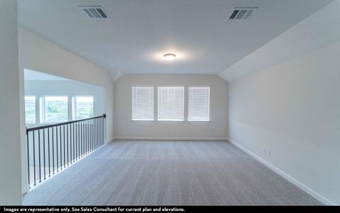 New construction Single-Family house 21202 Harbor Green Ln, Cypress, TX 77433 plan Laguna II - image 19