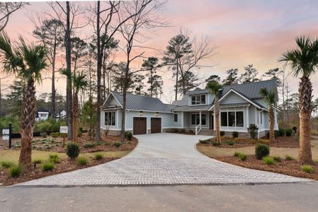 New construction Single-Family house 111 Peninsula Dr, Ravenel, SC 29470 - image