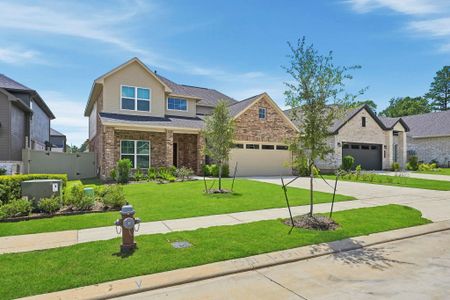 New construction Single-Family house 15115 Bank Swallow Pl, Magnolia, TX 77354 plan Sandown - image