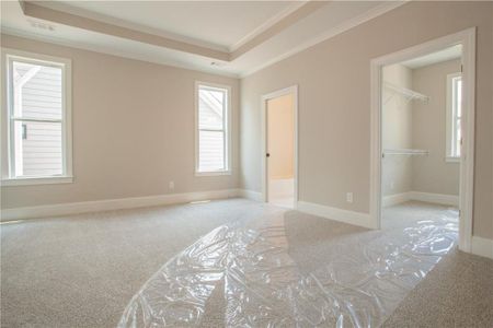 New construction Single-Family house 397 Maple View Drive, Carrollton, GA 30117 The Cedar- photo 11 11