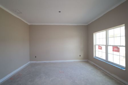 New construction Single-Family house 20125 Oriana Loop, Land O' Lakes, FL 34638 Santina II- photo 124 124