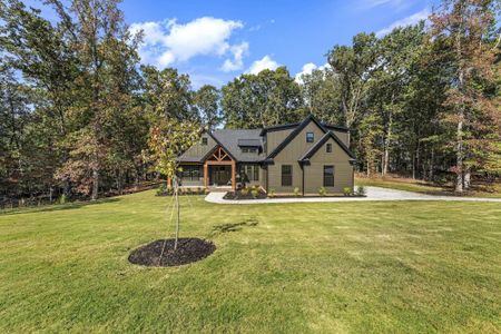 New construction Single-Family house 379 Fish Road Estates Ln, Ridgeville, SC 29472 - image