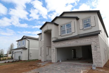 New construction Single-Family house 38338 Tobiano Loop, Dade City, FL 33525 Mira Lago- photo 112 112