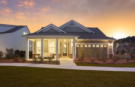 New construction Single-Family house 649 Coral Bells Ln, Summerville, SC 29486 plan Palmary - image