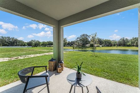 New construction Single-Family house 1651 Hummingbird Rd, Winter Haven, FL 33880 null- photo 37 37