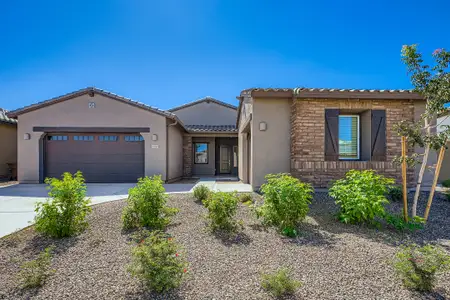 New construction Single-Family house 3385 E Saddletree Way, San Tan Valley, AZ 85140 plan Aurora Plan 5580 - image