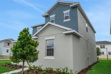 New construction Single-Family house 5137 Blanket Flower St, Apopka, FL 32712 plan Berkley - image